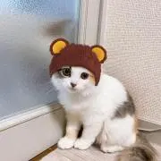 ちーの画像