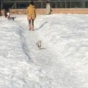 ゼットン
