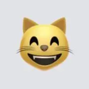 りんごの画像