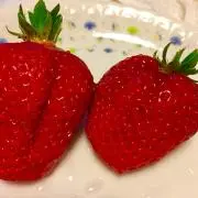 Takの画像