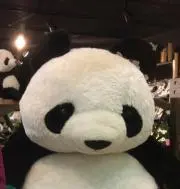 ぷるぷるの画像