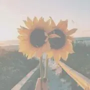 Kの画像