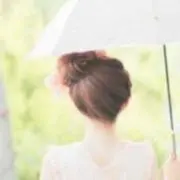 ありの画像