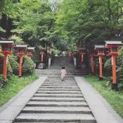 kotoの画像