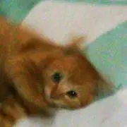ムーさん
