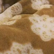 宿儺の画像