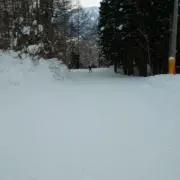 nao7