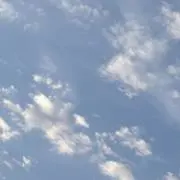 まめの画像