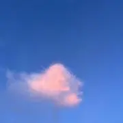 りょんの画像
