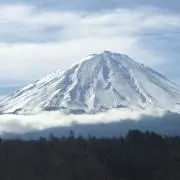 リラの画像