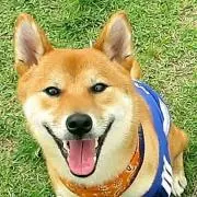 マロン