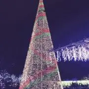 ゆとりんの画像