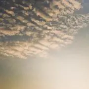 (▰╹◡╹▰)の画像