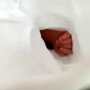 ちゃぴ