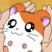 みぬの画像