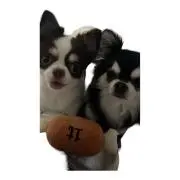 Miの画像