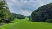 M & Mの画像