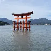 Modoka