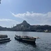 りぃー♪の画像