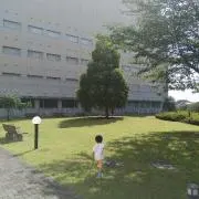 いーちゃんの画像