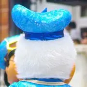 ちょびの画像