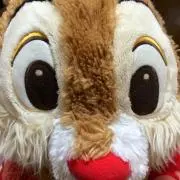 ユミツム