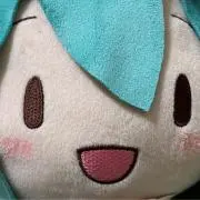 まりも　即購入可!!の画像