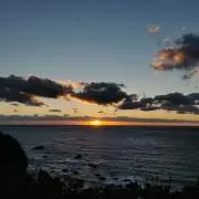 いけせはの画像