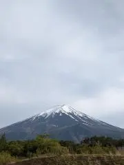 モル〜のお店の画像
