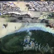 いろの画像
