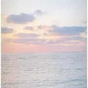 ユキの画像