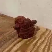 窓の画像