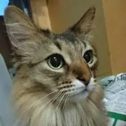なおち