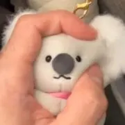 BB