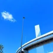 みーこの画像