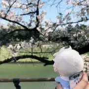 ちゃその画像