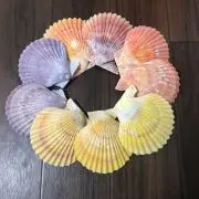 こむ