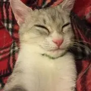 kiki