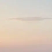 yの画像