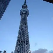 Mの画像