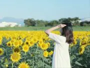 にこ 〜断捨離強化中〜の画像