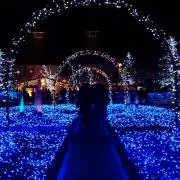 てるてるの画像