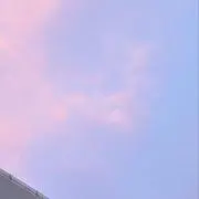 さくらの画像