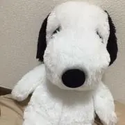 mariの画像