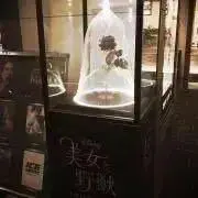 ♡いろは♡の画像