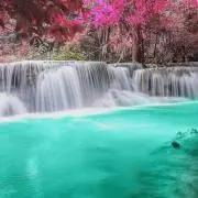 Komo533の画像