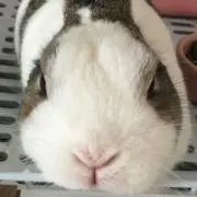 iセレクトの画像