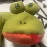 wpの画像