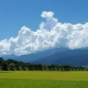 AAA