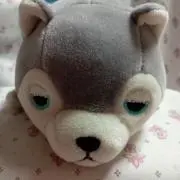 ハスラブ❤️の画像